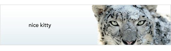 Snow Leopard