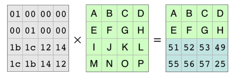 Data Loss: The matrix without the 2 "lost" rows