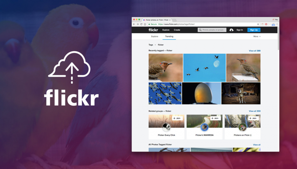 Flickr and cloud backup image