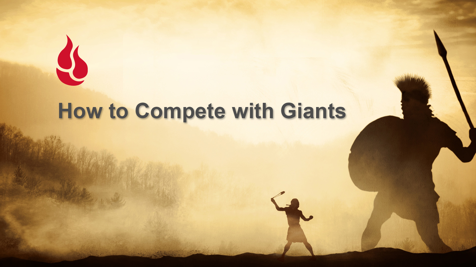 How to Compete with Giants