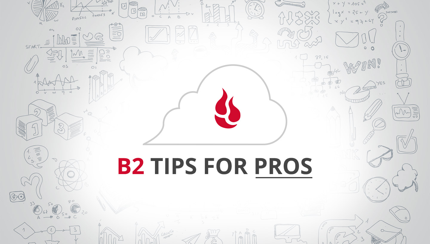 B2 Tips for Pros