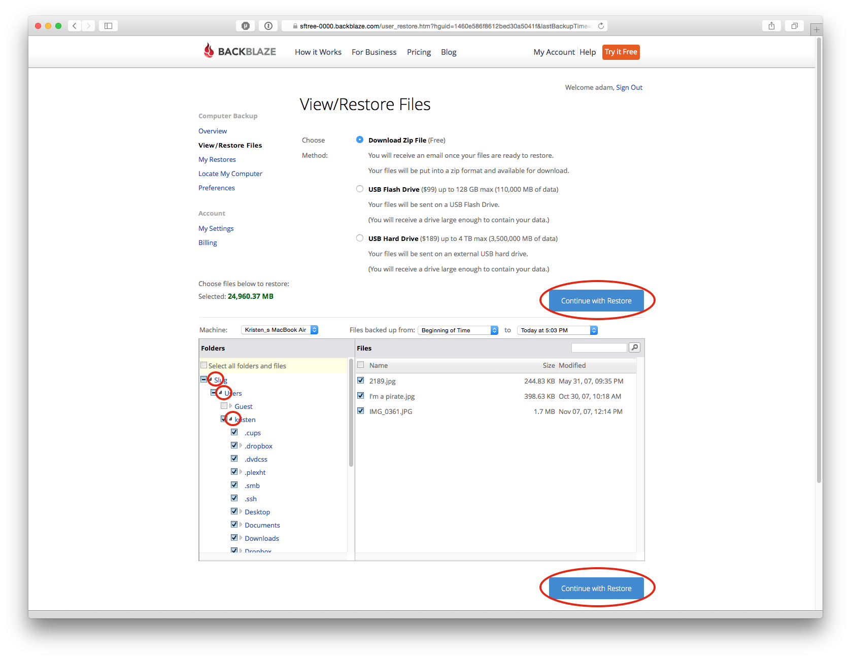 Screenshot of Admin for Selecting Files for Restore