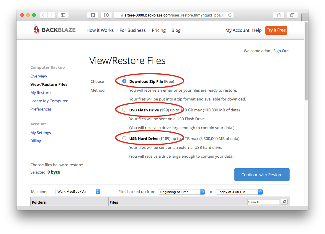 Screenshot of Admin for Selecting the Type of Restore