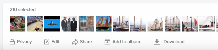 Flickr Camera Roll options