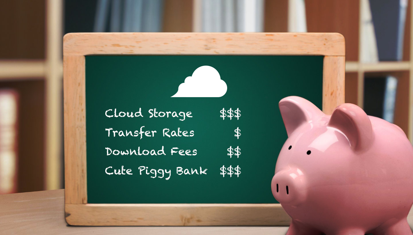 Cloud Storage $$$, Transfer Rates $, Download Fees $$, Cute Piggy Bank $$$