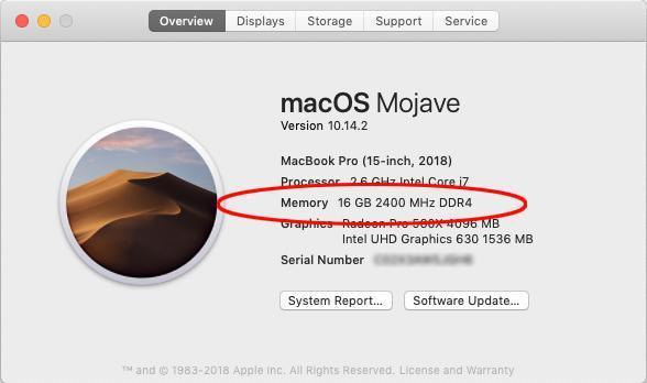 MacOS Screenshot Shows 16GB of RAM