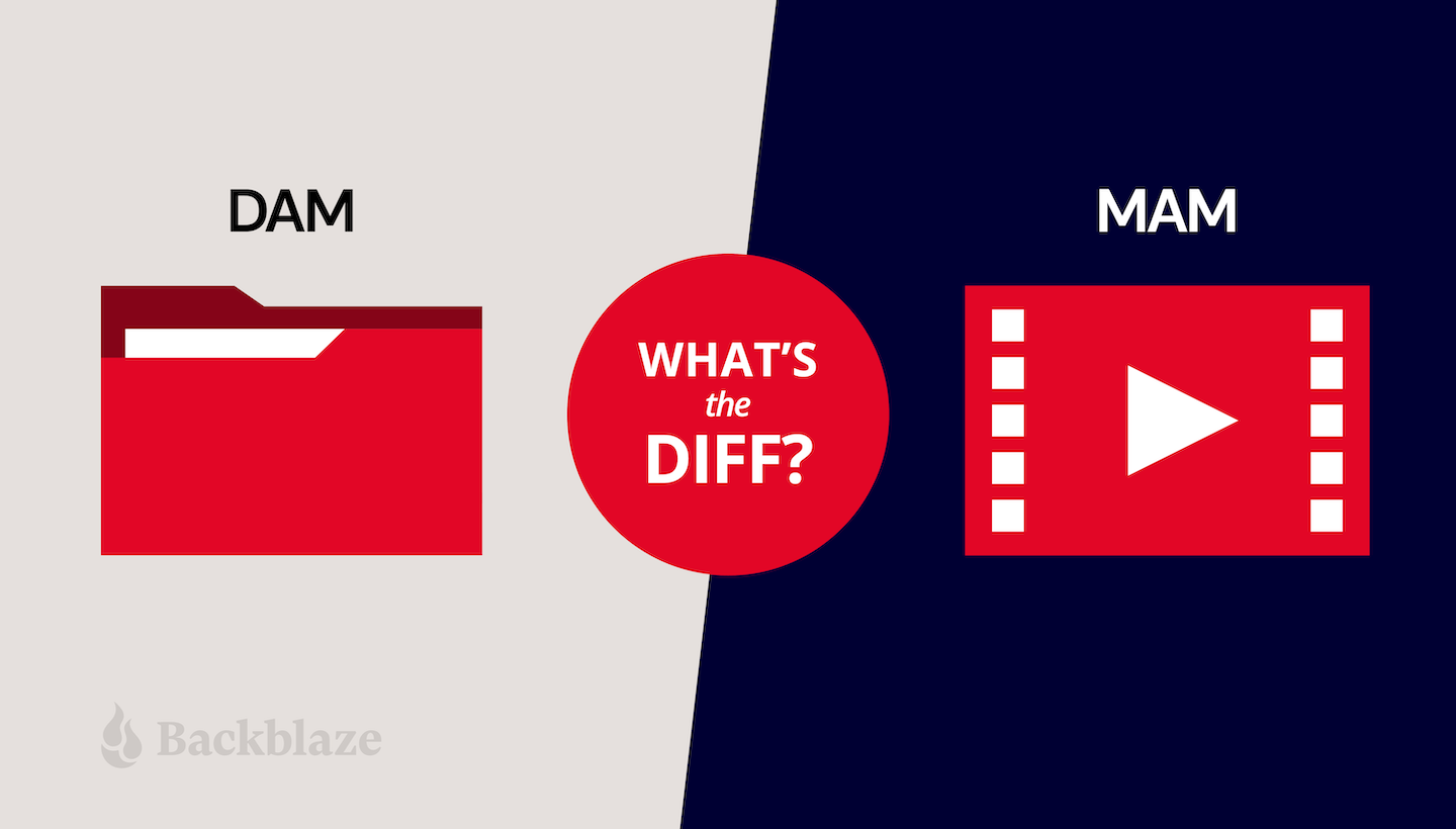 What's the Diff DAM vs. MAM