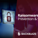 Ransomware Prevention & Survival