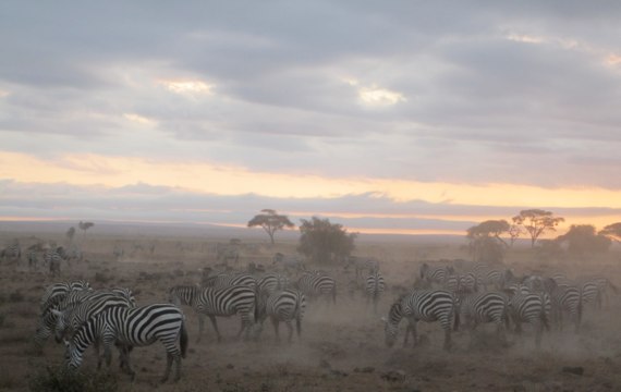 Kenya safari photo