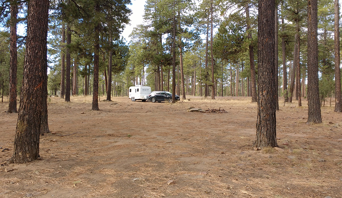 Apache-Sitgreaves National Forest, Arizona