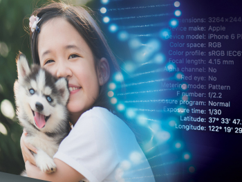 A Photo Overlaid with Metadata Information