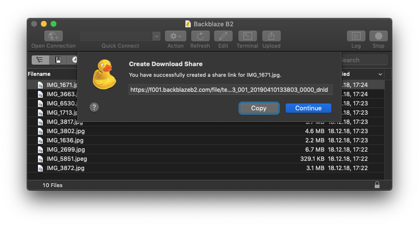 Cyberduck console screenshot of a successful file transfer