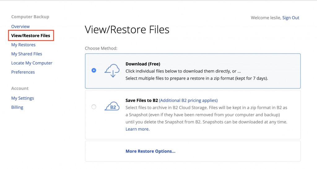 View and Restore Files