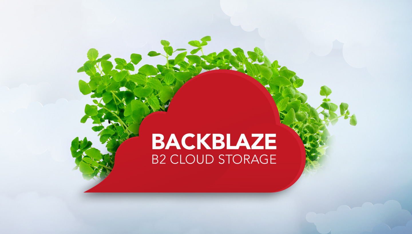 Backblaze B2 Cloud Storage