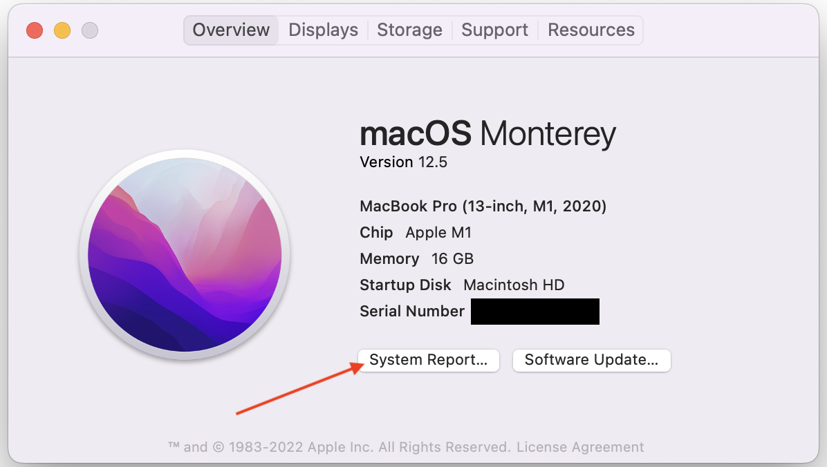 A screenshot of the Mac System Report, Overview tab. 