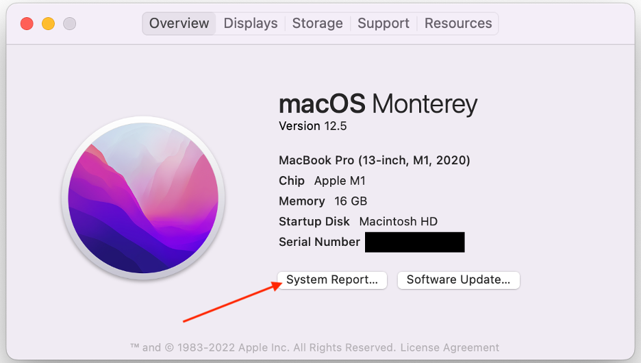 A screenshot of the about this Mac overview tab. 
