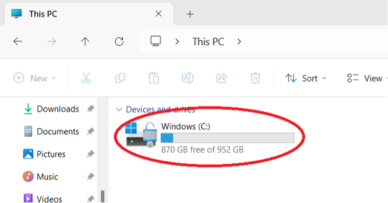 A screenshot from a Windows computer showing available and used storage. 