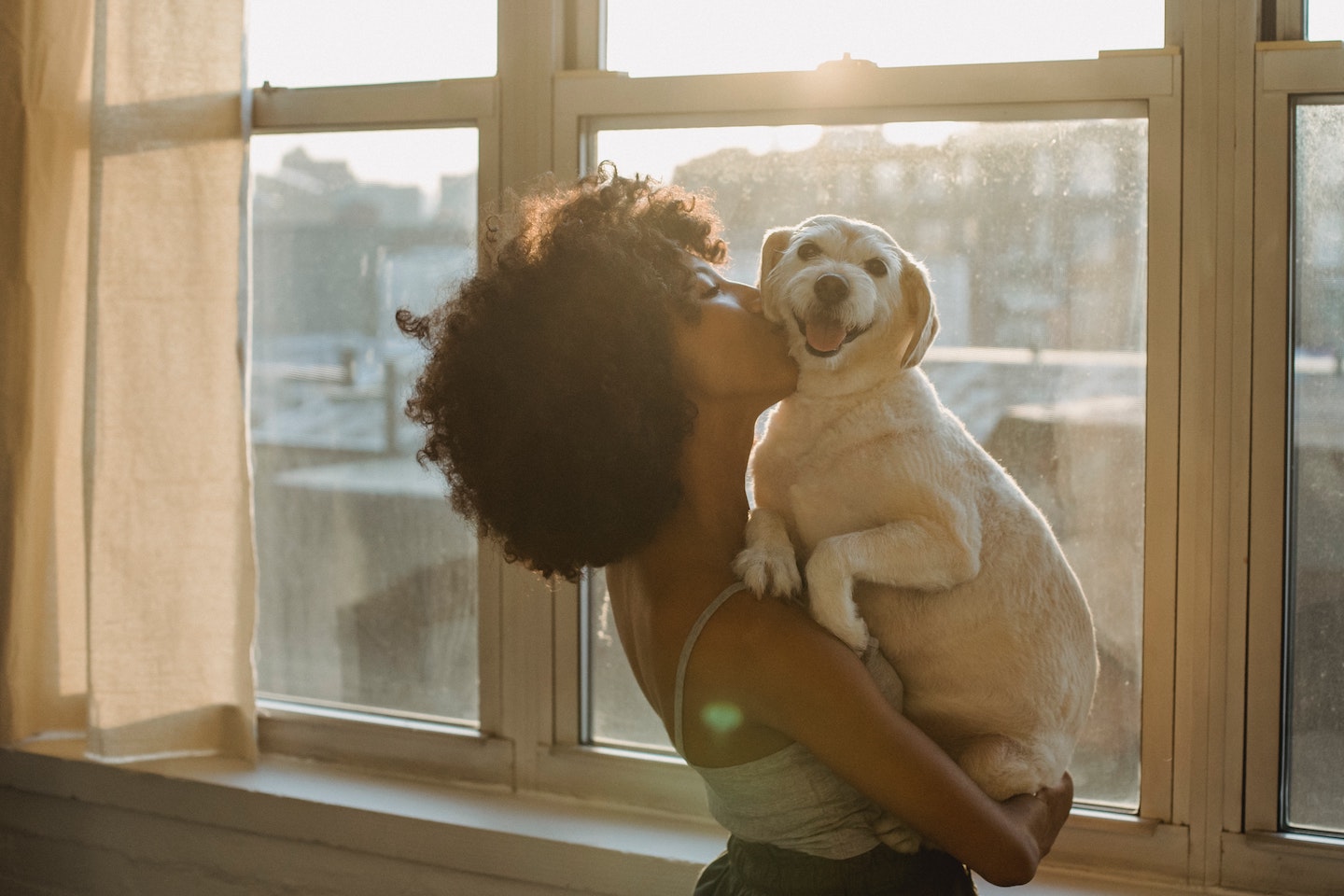 A photo of a woman kissing her very cute dog in front of a window.