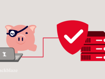 A decorative image showing a cyberpig on a laptop with a shield blocking it from accessing a server.