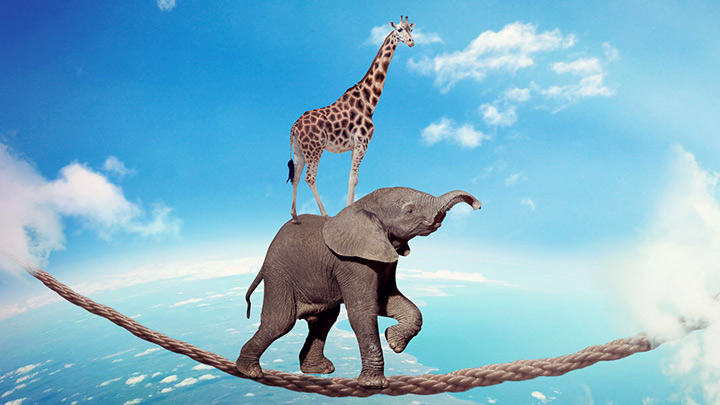 A definitely Photoshopped images showing a giraffe riding an elephant on a rope in the sky. The rope's anchor points disappear into clouds.