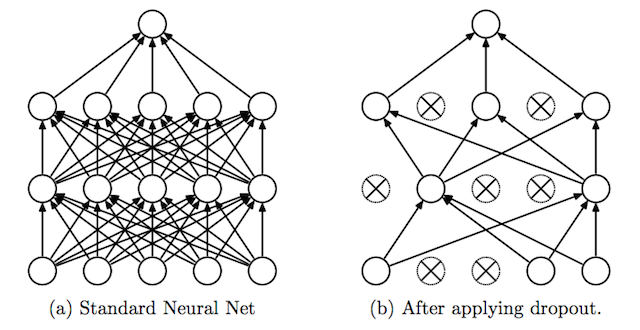 An image showing a neural network that has prioritized certain pathways after training. 