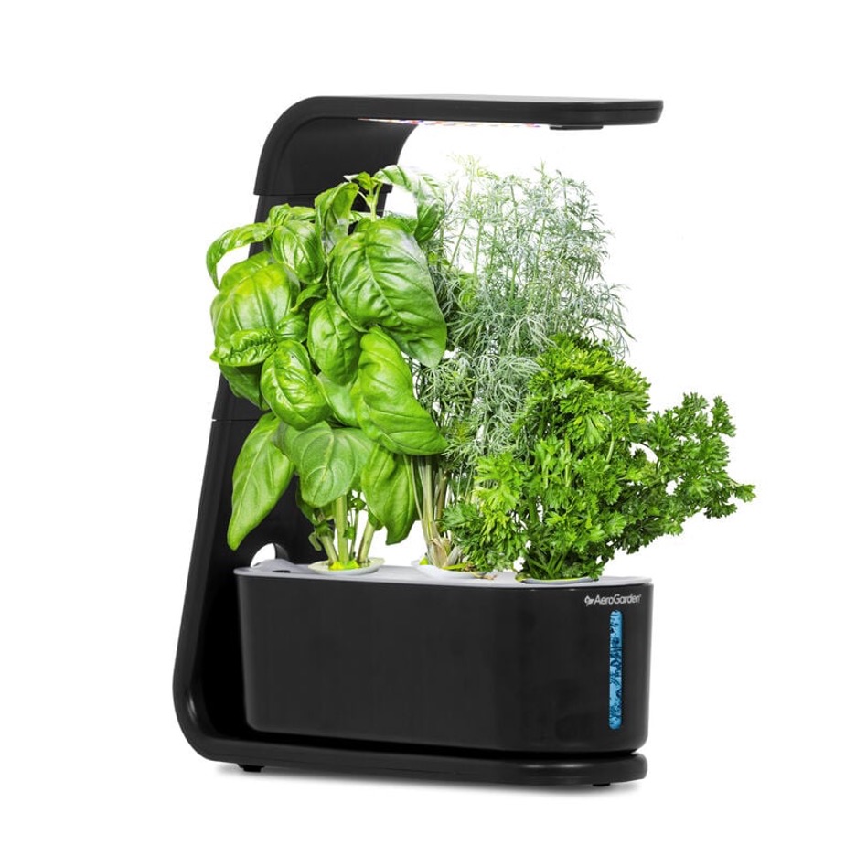 A produce image of a hydroponic garden. 